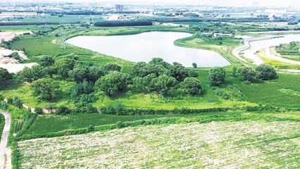 治理提標提質 筑牢全方位高質量發展生態屏障